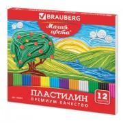 Пластилин классический BRAUBERG "МАГИЯ ЦВЕТА", 12 цветов, 240 г, со стеком, высшее качество, картонная упаковка, 103357 - Премиум Сервис