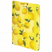 ������� � �������� ��� ������� 96 �., �5 (145�203 ��), ������� �������, BRAUBERG, "Lemons", 113727 - ������� ������