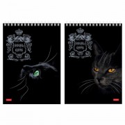  5 (146215 ), 80 ., , , , 3D , HATBER, "Royal Cats", 8051 -  