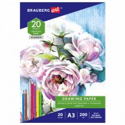       3, 20 ., 200 /2,  , BRAUBERG ART CLASSIC, 114491 -  