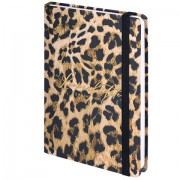     5 (145215 ), BRAUBERG, , , 128 ., "Leopard", 114561 -  