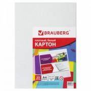   4  (), 25 , BRAUBERG, 210297 , 124021 -  