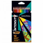   BIC "Intensity", 12 , , , , 9505272 -  