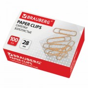  BRAUBERG, 28 , , 100 .,   , 221529 -  