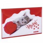 -   BRAUBERG "FUNNY CAT", 4, 160 ,  , 228038 -  