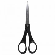  BRAUBERG "SRS-100", 180 , , 2-  , 230931 -  