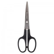  BRAUBERG "Standard" 160 , ,  , 2-  , 237095 -  