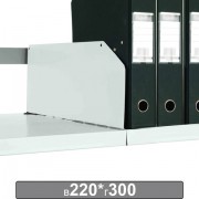 ����������� � �������������� ��������, 300�220 ��, �������� 20 ��., �24199510303 - ������� ������