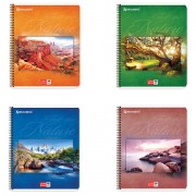 ������� �5, 48 �., BRAUBERG, �������, ������, ������� ������, �������, 401874 - ������� ������