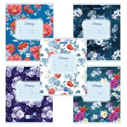 ������� 24 �. BRAUBERG, ������, ������� ������, ����� ������, 403006 - ������� ������