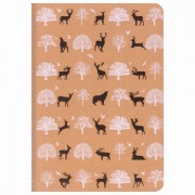 ������� 40 �. � ������ ������� �����, ������� ������ 70 �/�2, ������, �5 (147�210 ��), NATURE, BRAUBERG, 403758 - ������� ������