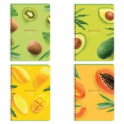 ������� �4, 96 �., BRAUBERG, �������, ������, ������� ���������, "Exotic", 404062 - ������� ������