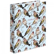 Тетрадь на кольцах А5 (165х215 мм), 120 листов, твердый картон, клетка, BRAUBERG, Щеглы, 404079 - Премиум Сервис