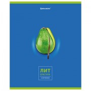   "AVOCADO" 48 .,  , , , , BRAUBERG, 404281 -  