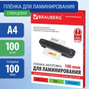 -   4,  100 ., 100 , BRAUBERG, 530801 -  