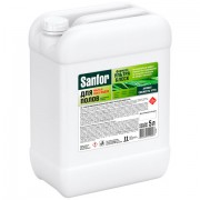 �������� ��� ����� ���� 5 �, SANFOR "�������� ����", "�����������", 17524 - ������� ������