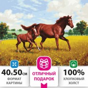 ������� �� ������� 40�50 ��, ������ �������� "������ �� ����", �� ����������, ��������� ������, 3 �����, 662464 - ������� ������
