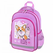   SCHOOL, 1 , 3 , "Fluffy akita", 38x2814 , 272084 -  