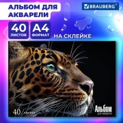 ������ ��� �������� �4, 40 �., ������ 200 �/�2, �������, ������� ������, BRAUBERG, "�������", 107130 - ������� ������