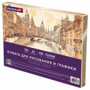      3 100 ., 200 /2  ,  , BRAUBERG ART CLASSIC, 116889 -  