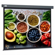 ����� Cactus Wallscreen CS-PSW-150X150-SG, 150x150 ��, 1:1, ��������-����������, �����, PSW-150x150-SG - ������� ������