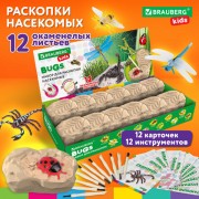     2 -  