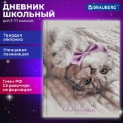 ������� 5-11 ����� 48 �., �������, BRAUBERG, ��������� ���������, � ���������, �����, 107188 - ������� ������