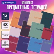  ,  12 , 48,  , BRAUBERG, VIBE, 405163 -  