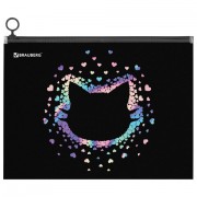    BRAUBERG 4, 1 , ,  zip-lock , Pretty face, 273319 -  