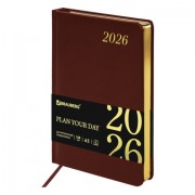 ���������� ������������ 2026 �5 138x213�� BRAUBERG Iguana, ��� ����, ����������, 117057 - ������� ������