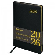 ������������ ������������ 2026 �5 145�215�� BRAUBERG Iguana, ��� ����, ������, 117171 - ������� ������