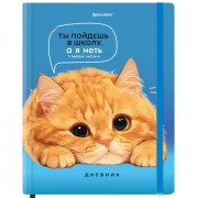  1-11  48, , BRAUBERG,  , , -,  , , 107239 -  