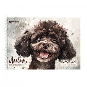 ������ ��� �������� �4 40�., ������ 200 �/�, �������, ������� ��������, BRAUBERG, ������ 1, 116885 - ������� ������