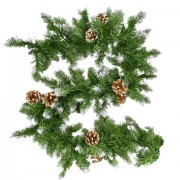     ,  270 ,  25 ,  , 592185 -  