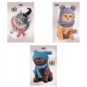    6, 40 ., ,  , ,  , HATBER, "", 057230, 406A1 -  