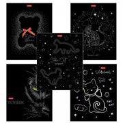 ������� �5 48 �., HATBER �����, ������, ������� ���������, 3D-������, "�����-�����" (����), 087356, 48�5����1 - ������� ������