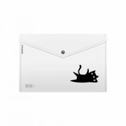 �����-������� � ������� ERICH KRAUSE "Clear Cat", A4, �� 120 ������, ������������, 0,16 ��, 63500 - ������� ������