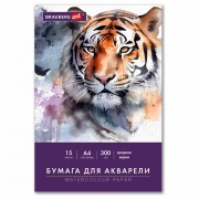 ������ ��� �������� �4 � �����, 15 ������, 300 �/�2, ������� �����, BRAUBERG ART CLASSIC, 116353 - ������� ������
