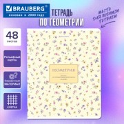 ������� ���������� BLOSSOM 48�, ��������� ��������, ���������, ������, �������, BRAUBERG, 405595 - ������� ������