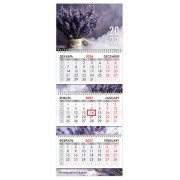 ��������� ����������� 2027�, 3 ����� 3 ������ �������, ���������� ������, BRAUBERG EXTRA, "�������", 118307 - ������� ������