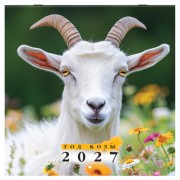 ��������� ��������� ���������� 2027�, BRAUBERG, 12 ������, 28,5�28,5��, "������ ����", 118414 - ������� ������