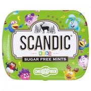 ����� ���������� SCANDIC ��� ������ �� ������ "������", 14 �. - ������� ������