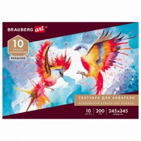 ������ ��� ��������, ������ ������ 200 �/�2 25% ������ 245�345 ��, 10 �., BRAUBERG ART PREMIERE, 105911 - ������� ������