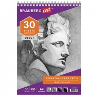 ��������, ����� ������ 160 �/�2, 205�290 ��, 30 �., �������, ������ ��������, BRAUBERG ART DEBUT, 110985 - ������� ������