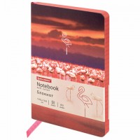    (100150 ) 6, BRAUBERG VISTA "Flamingo",  , ,  , 80 ., 112099 -  