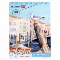 ��������, ����� ������ 100 �/�2 210�290 ��, 80 �., �������, ������� �������, BRAUBERG ART DEBUT, 112987 - ������� ������