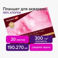 ������� ��� �������� ������ 100%, 300 �, 190�270 ��, �������, 4 �������, ������� �����, 20 �., BRAUBERG ART, 113240 - ������� ������