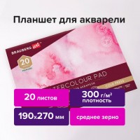 ����� ��� ��������/�������, 300 �/�2, 190�270 ��, �������, ������� �����, 20 �., BRAUBERG ART PREMIERE, 113245 - ������� ������