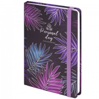 ���������� �������������� � �������� �5 (145�203 ��), BRAUBERG, �������, ������, 128 �., "Tropical", 114565 - ������� ������
