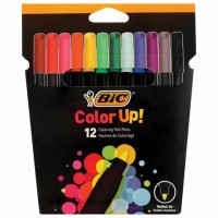 ���������� BIC "Intensity", 12 ������, ������������� ��������, ����������, 978004 - ������� ������